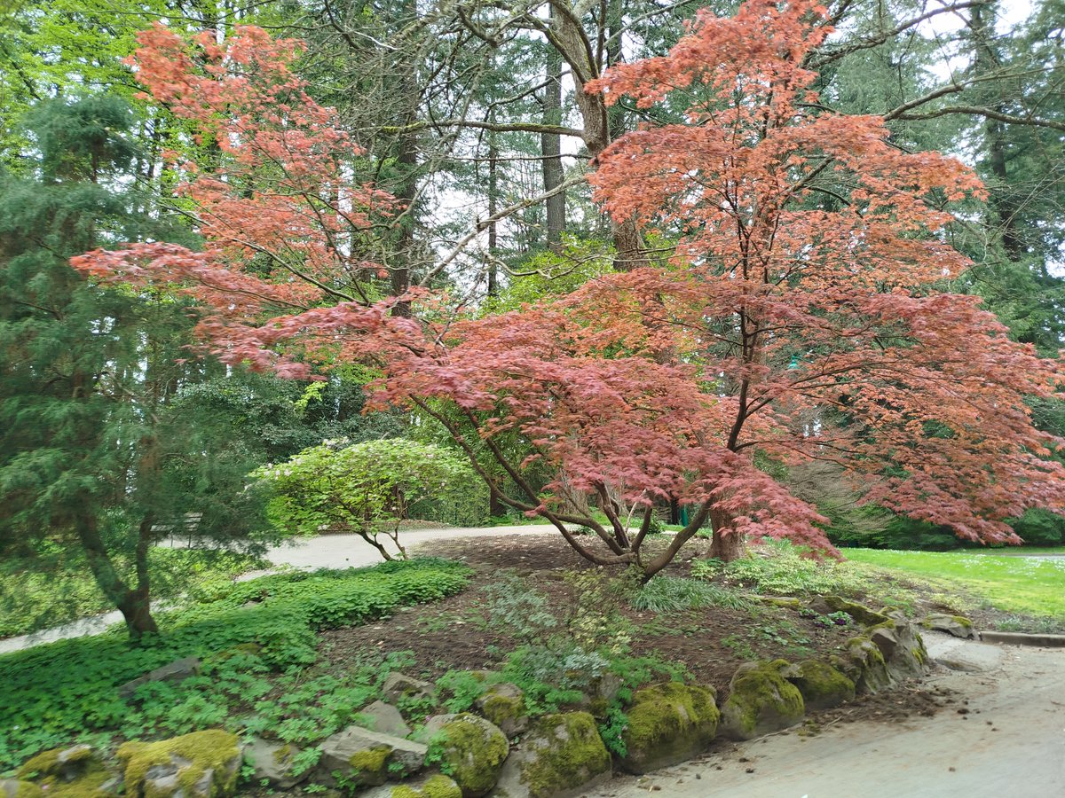 Suzanne Knapen tweet media