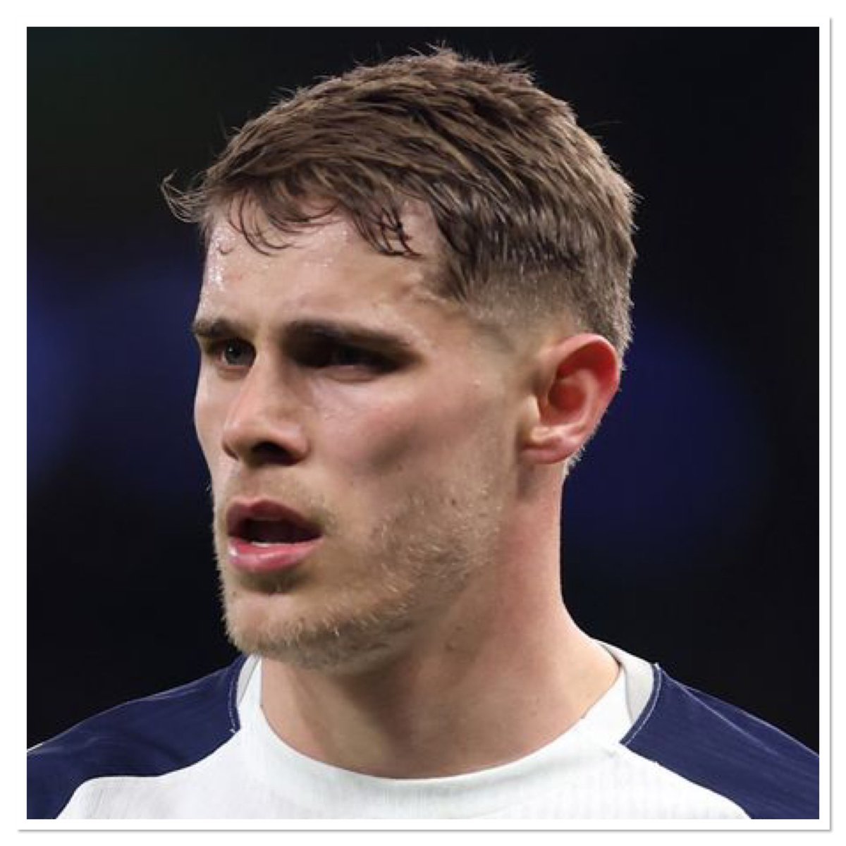 Last Word On Spurs tweet media