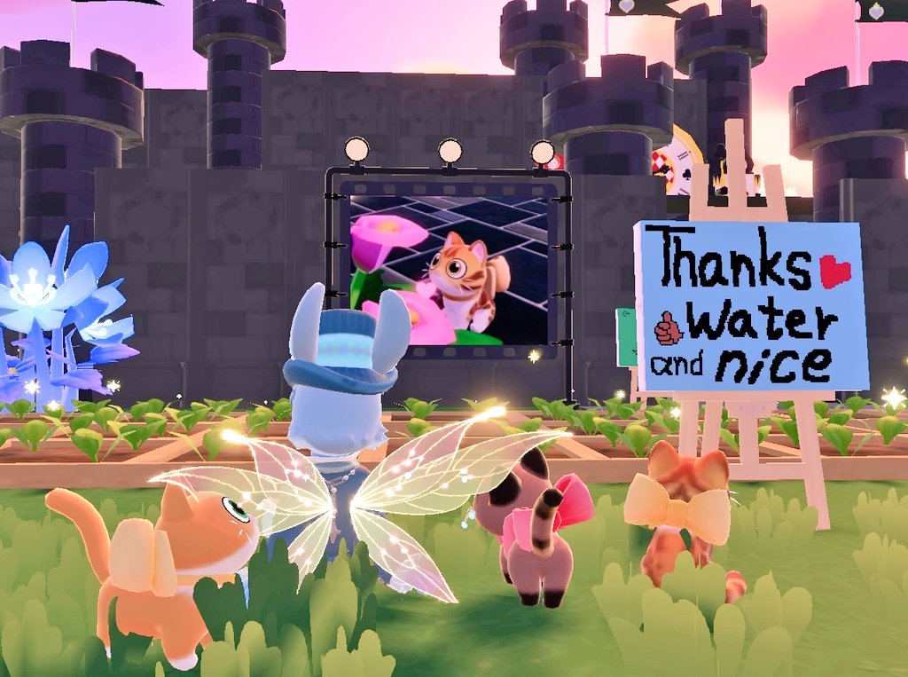 モモワン🐶おかあちゃん tweet media