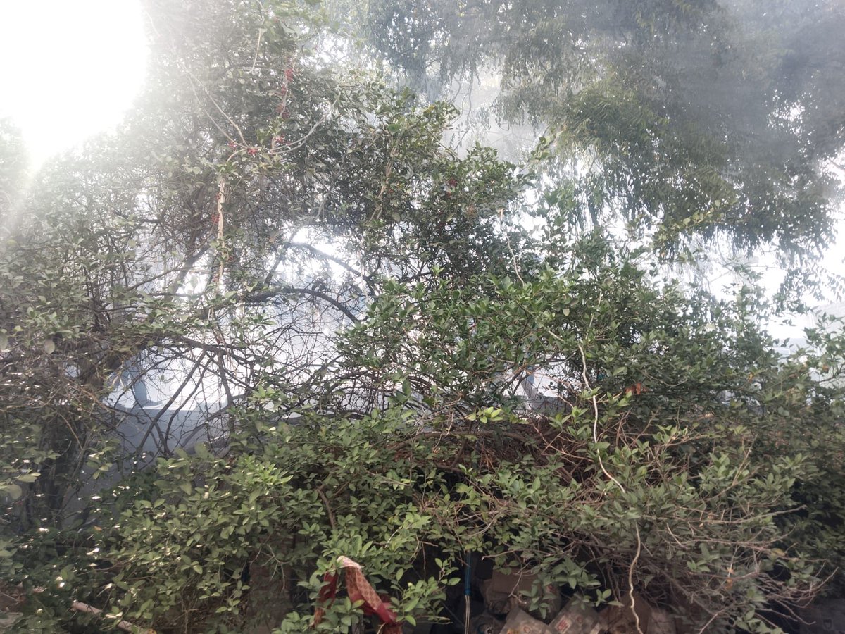 Satyendra Nath Tiwari tweet media