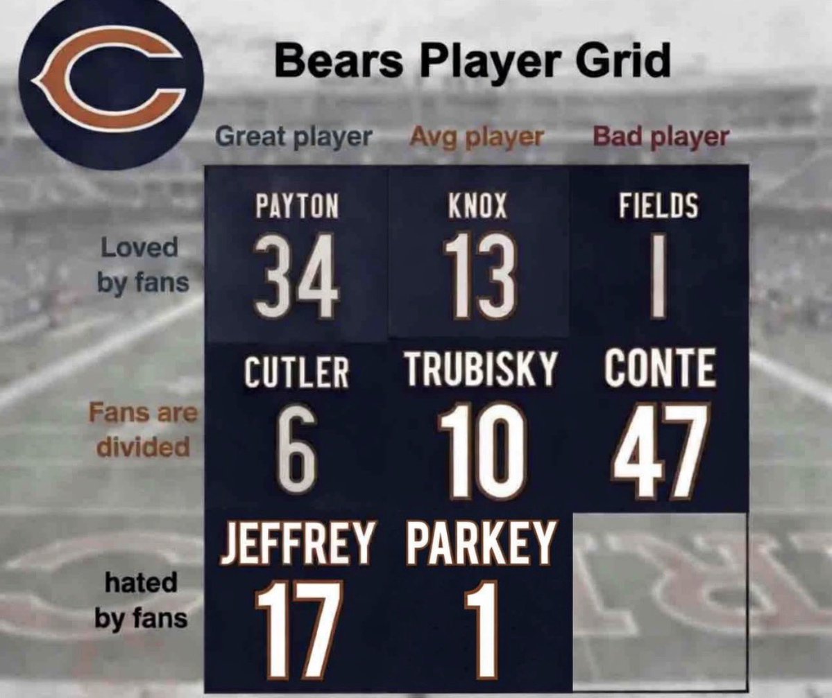 BearsMuse tweet media