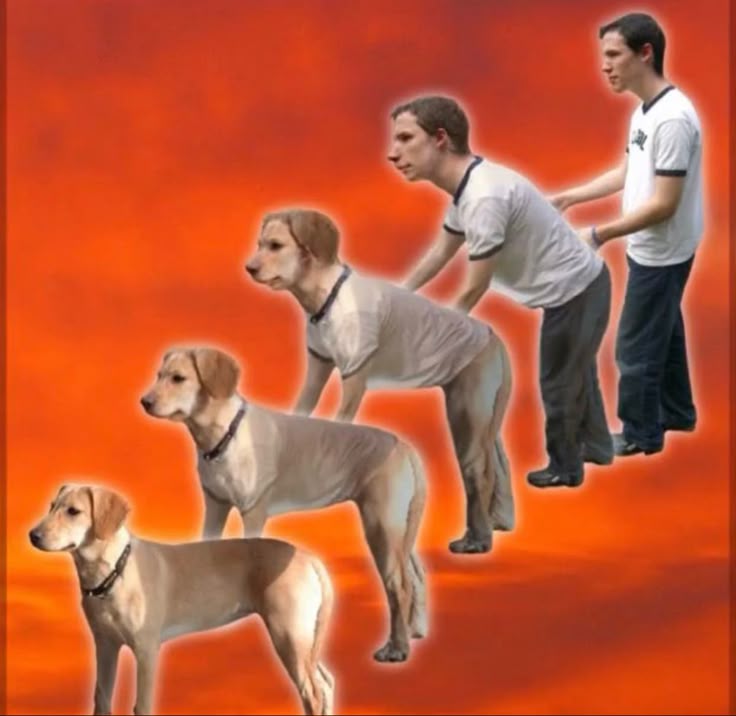 육삼이 tweet media