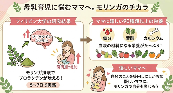 母と子のモリンガ配合たんぱく【公式】 tweet media