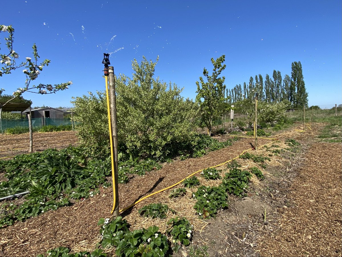 Briar Farm tweet media