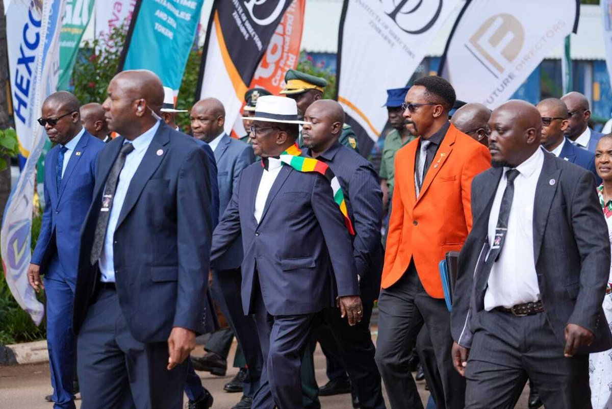 ZITF Company tweet media