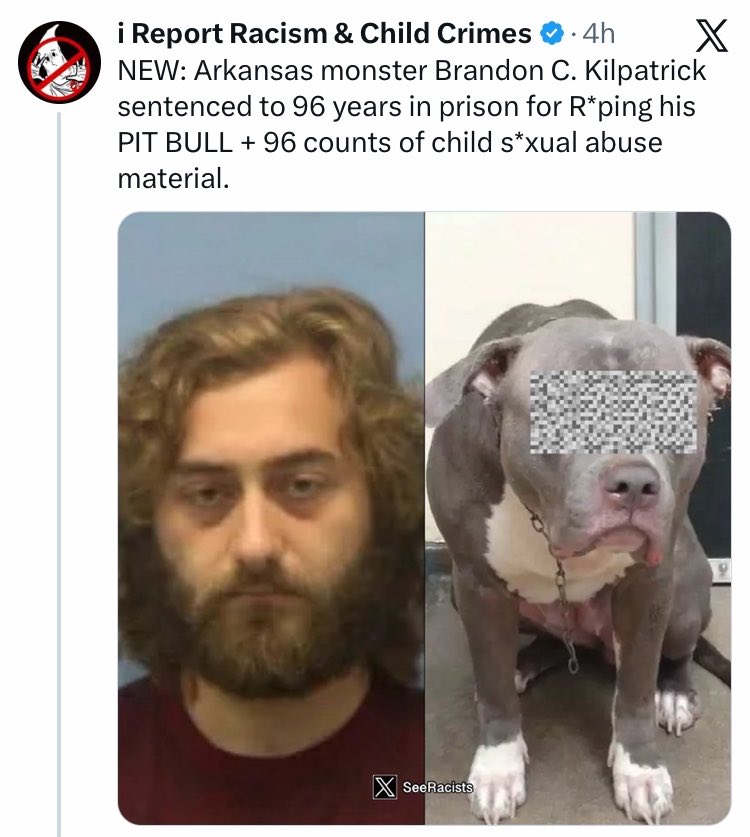 A simple guy tweet media