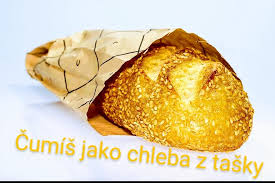 🇨🇿markýza 🏒 ová 🇨🇿 tweet media