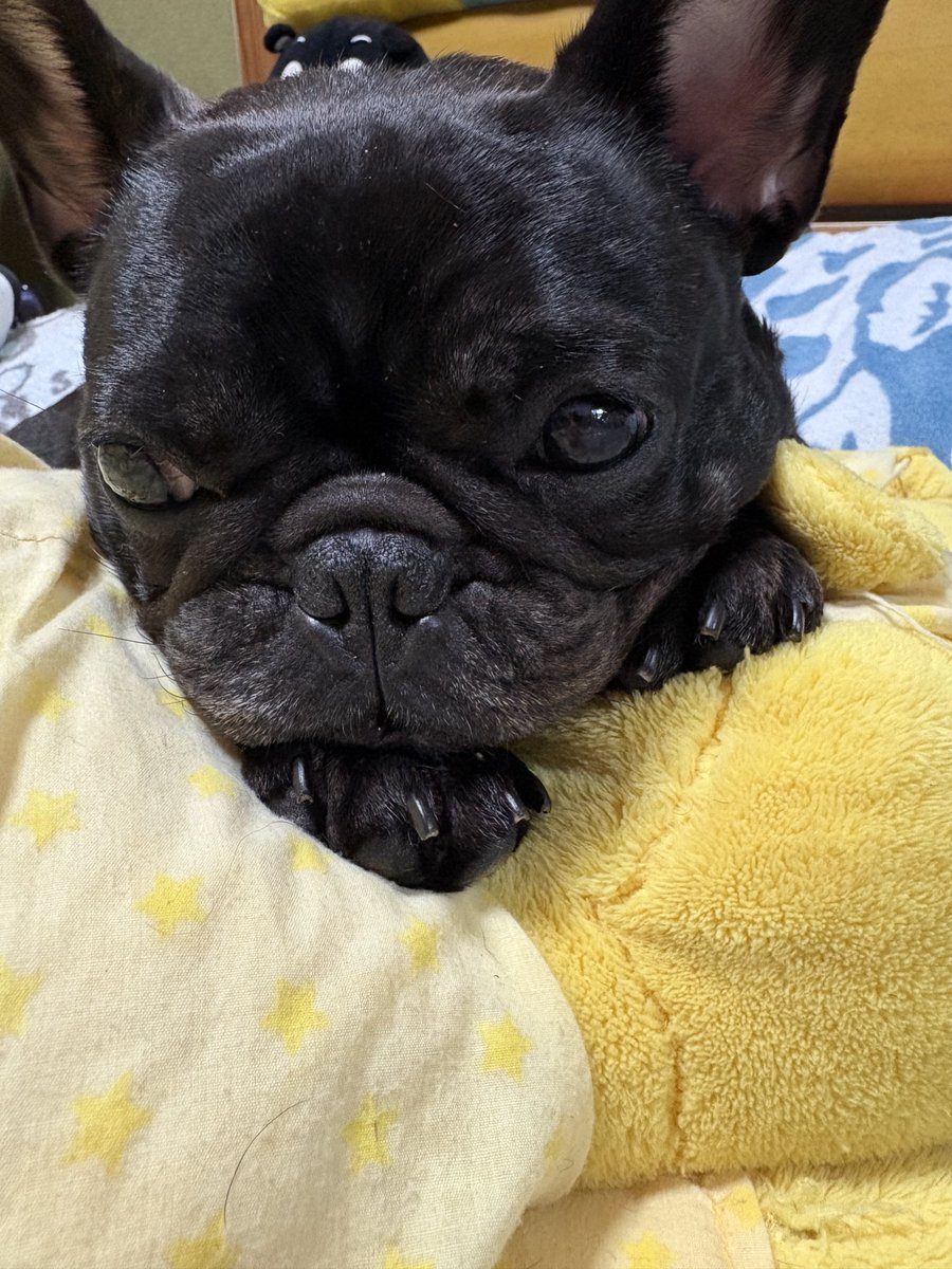 nono@buhi tweet media