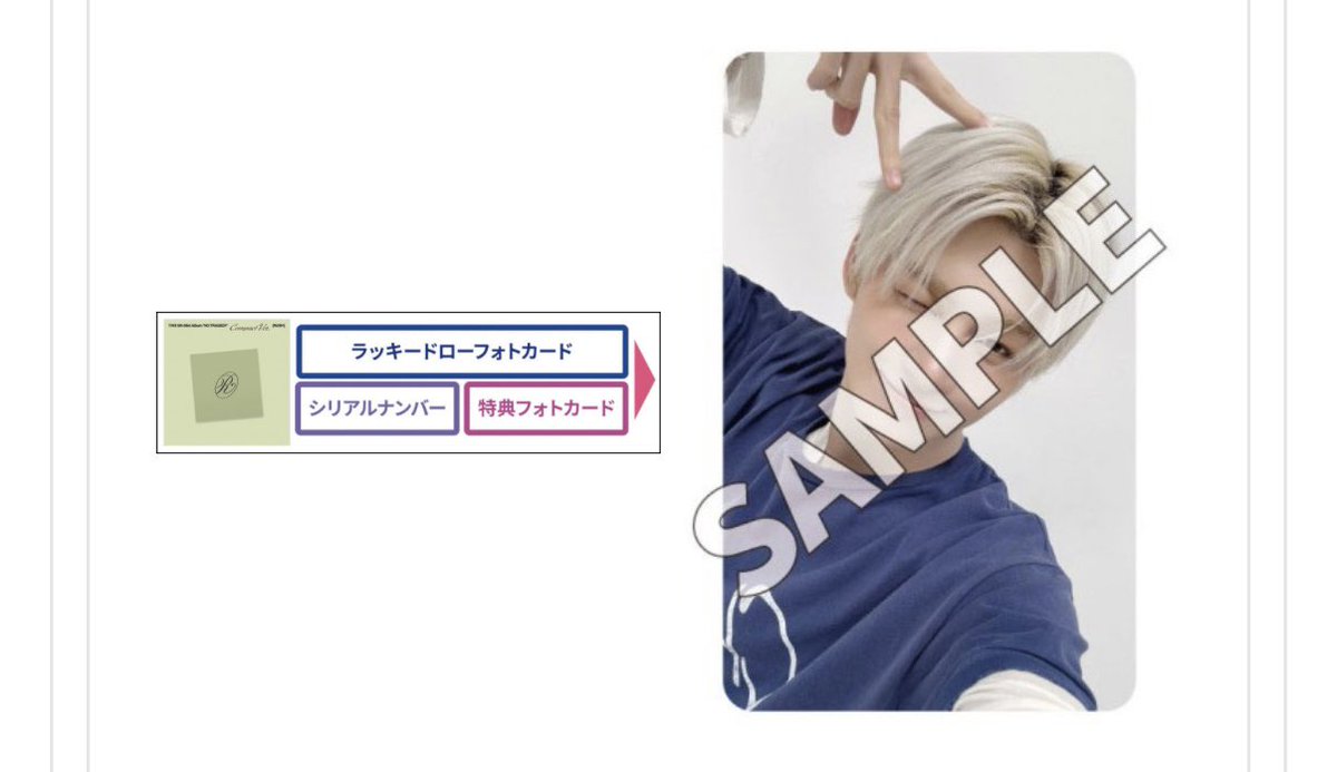 🐶🩵 tweet media