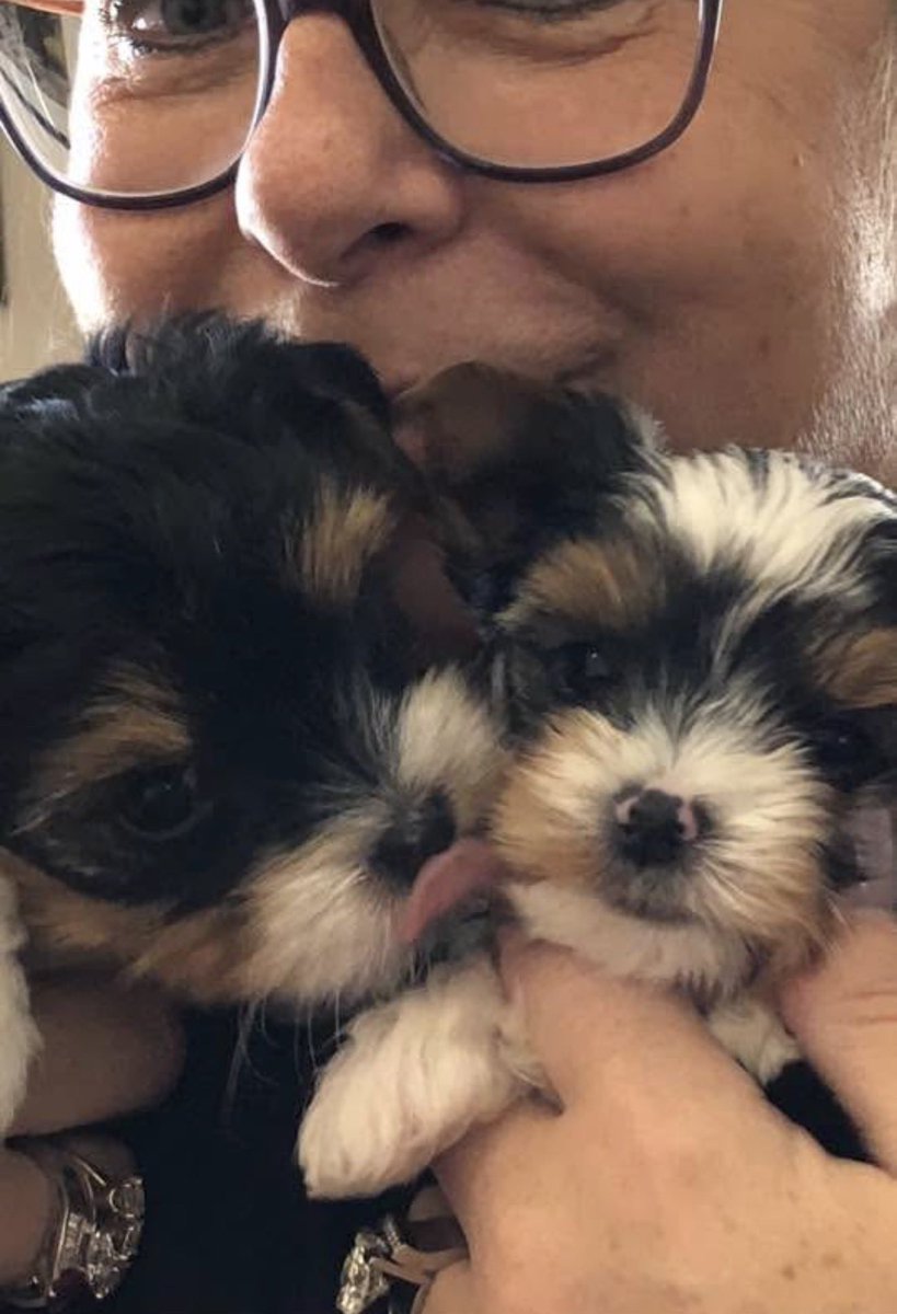 Cory & Gio 🐾🇨🇦 tweet media