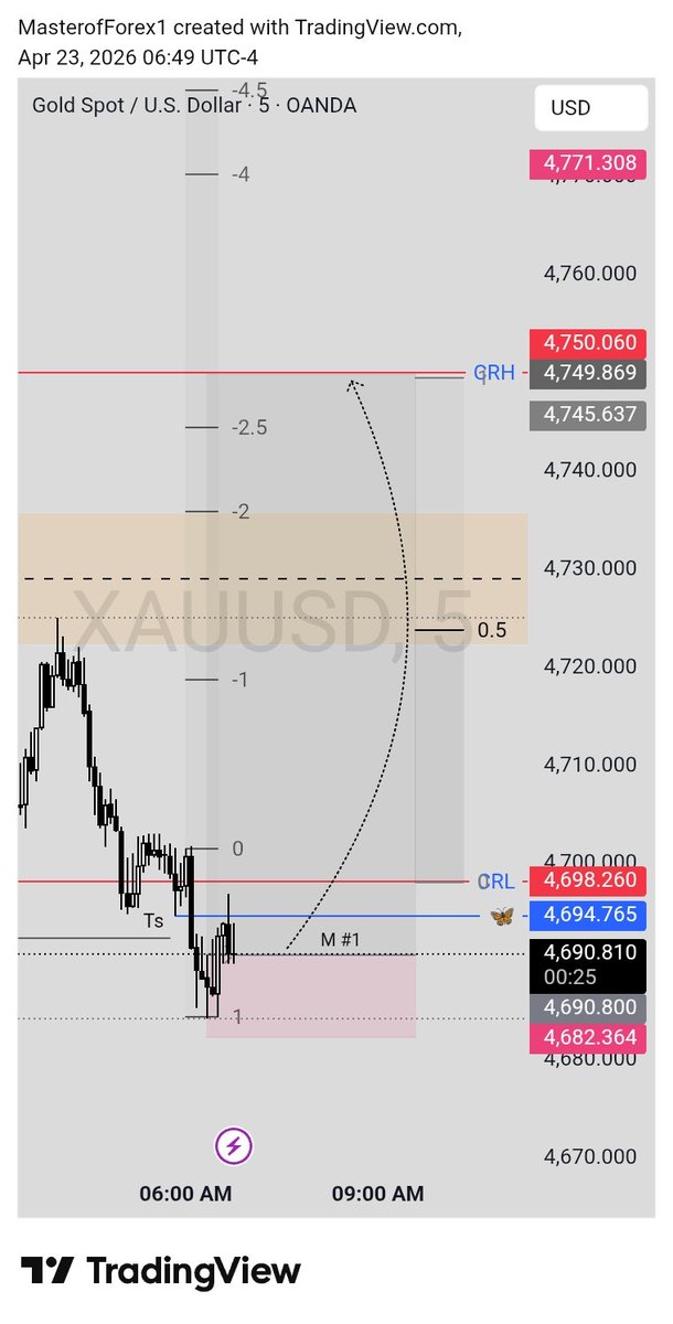 Master of Forex tweet media