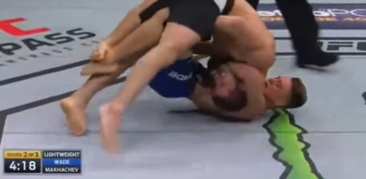 ☨ ☨ ☨ ☨ tweet media