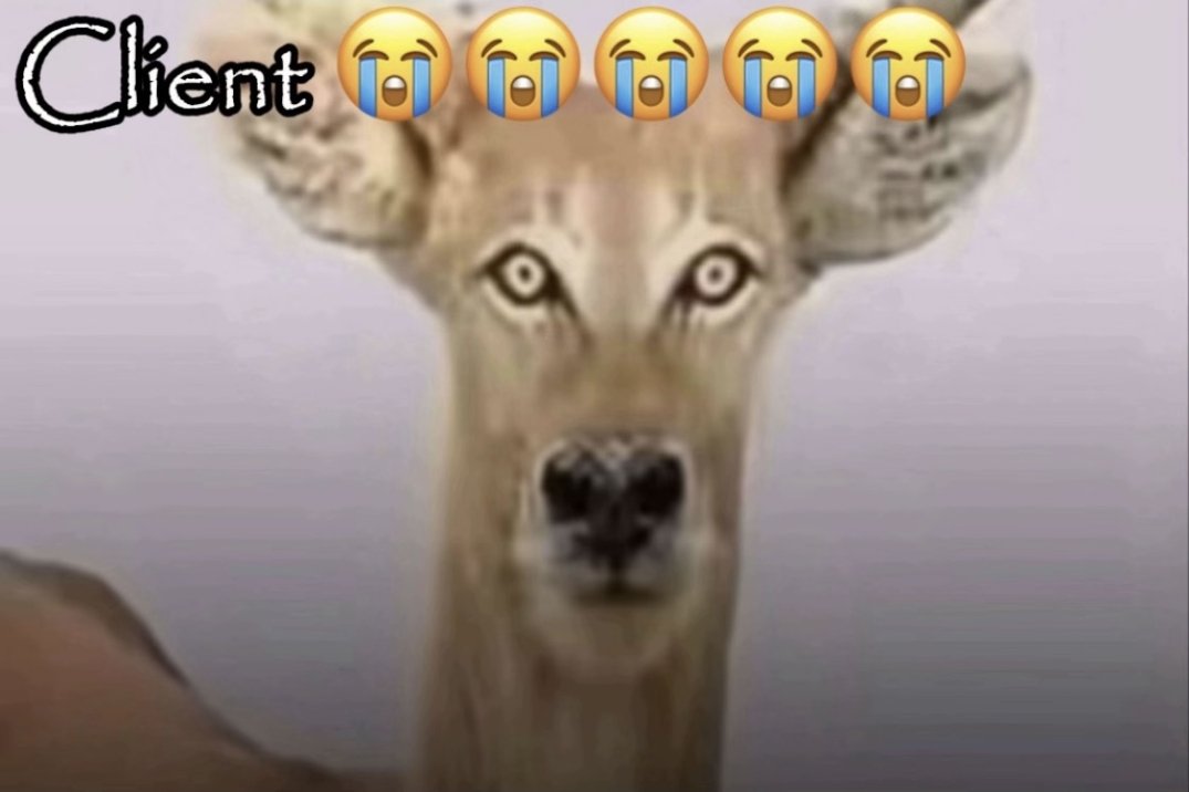 D1 hater tweet media