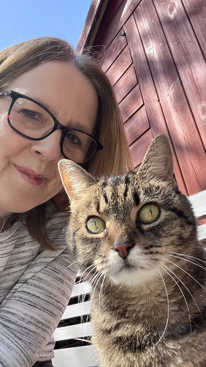 Millie 😸 📚 💚 🦔 tweet media