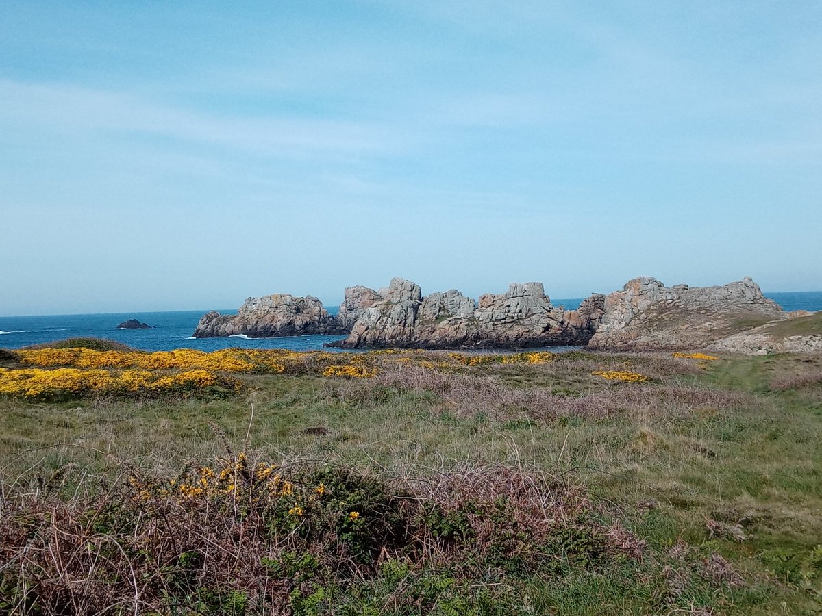 brittanyexpert's tweet image. This afternoon on Ouessant #Brittany #Finistere #Bretagne