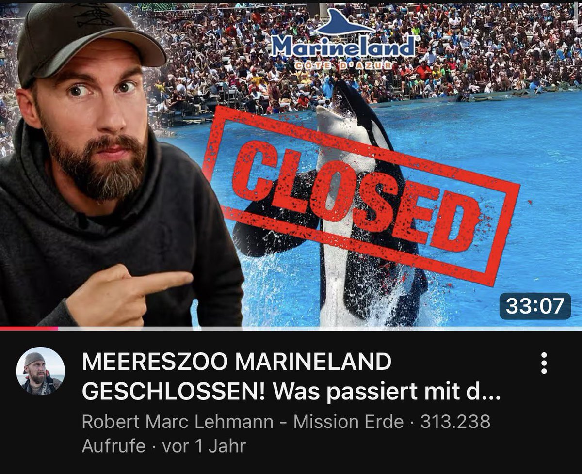 bordeauxro70914's tweet image. Alle vier Videos von RML
zu dem Thema sind äußerst
aufschlussreich &amp;amp;
informativ.
Suche, finde &amp;amp; lerne:
“lehmann marineland”

Es ist alles nicht so einfach,
wie man hoffen mag…

@RobMarcLehmann 
#marineland #orca
#wikie #keijo #loro
#sanctuary #nohope
#wal #timmy #hope
