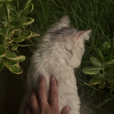 tiedyct's tweet photo. #NewProfilePic https://t.co/CeOOHYvmxE