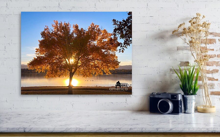 erinmdorffette's tweet image. A beautifully lit tree as the sun drops in the fall sky! #fallcolors #goldenhour #parklife #denver #colorado #ColorfulArt 

faa.savingmemoriesbymakingmemories.com/featured/golde…