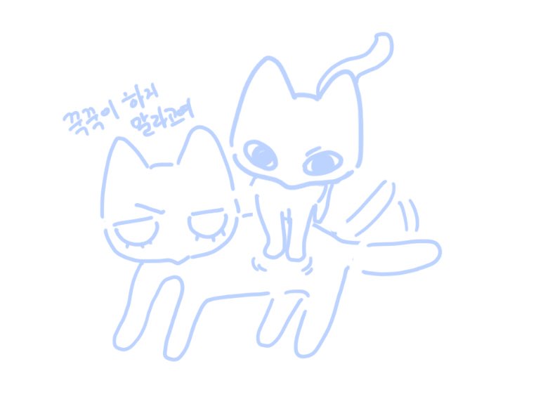김경환 (@kkuxxzbch) on Twitter photo 