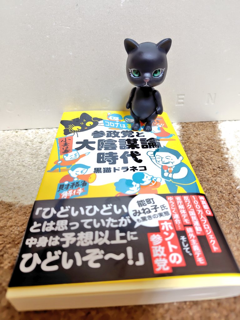 ayetsujisama's tweet photo. 楽しみにしていた本。
面陳されていて、ニヤリとしたとか、しないとか……
黒猫ちゃんと一緒に読むのです。
#参政党と大陰謀論時代 https://t.co/4tw1lG9EVG