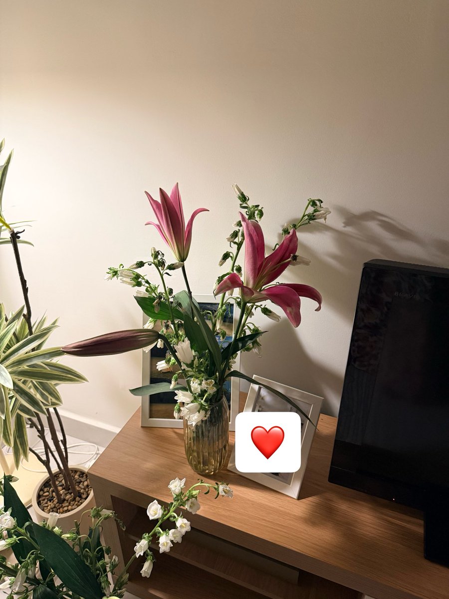 Tiqa Zulkefli | REN tweet media