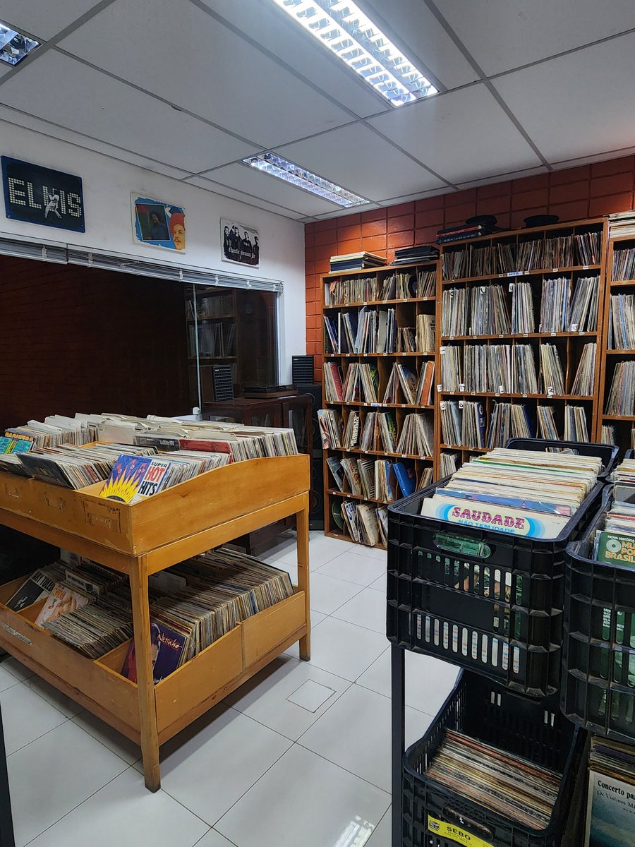 mary maracaju tweet media