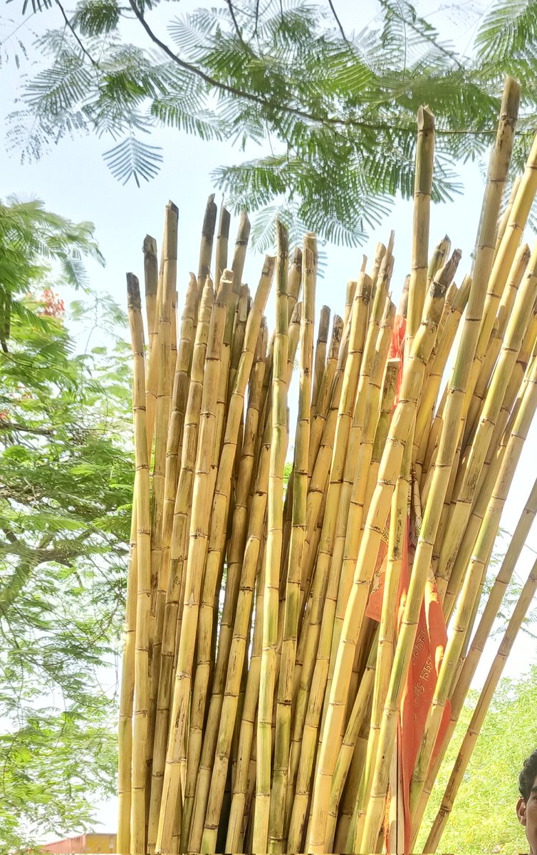 pikapin78's tweet image. Ganne wale bhaiya, jara juice pila do...when u dare to step out in afternoon. 

आग के गोले बरस रहे हैं भाई ☀️ 😭 #summers #Heatwave2026 #weather #delhincr