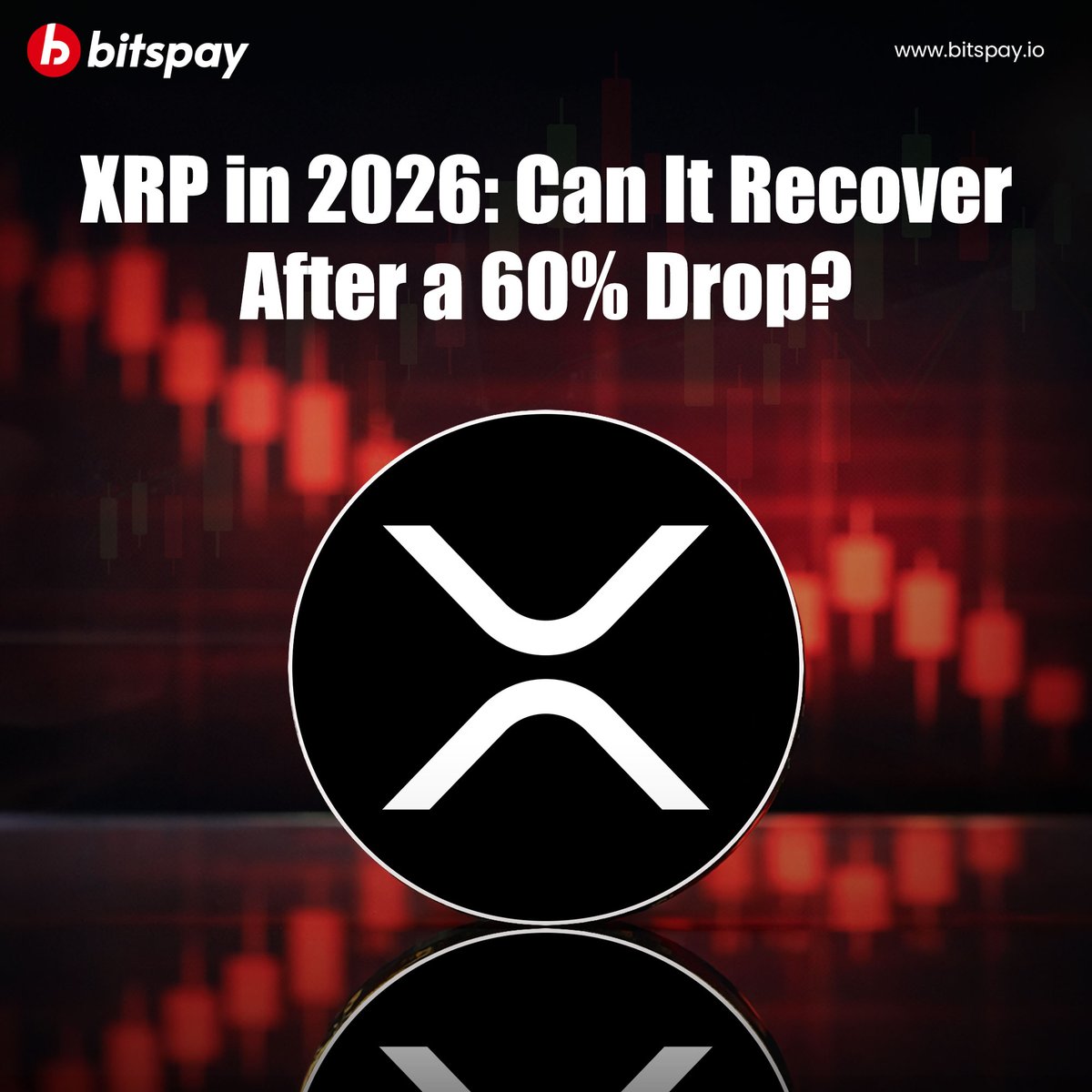 Bitspay tweet media