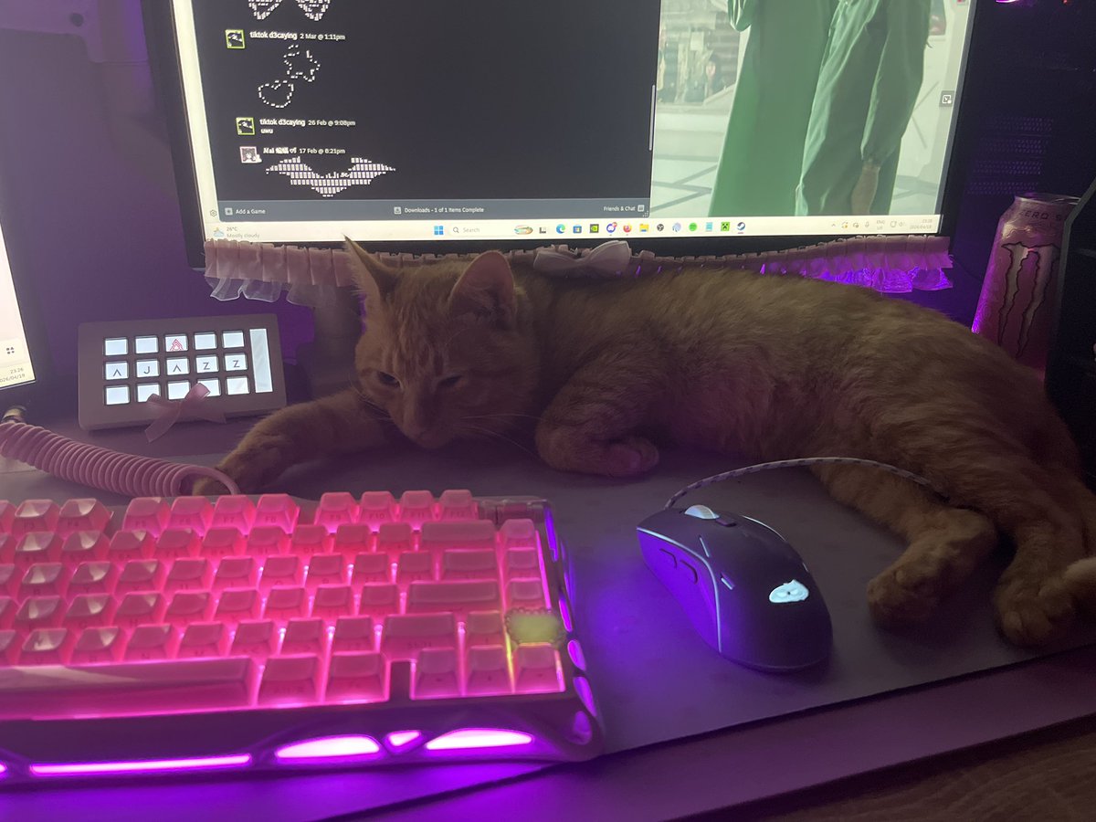 𝐠♡𝐫𝐞𝐲𝐜𝐨𝐫𝐩𝐬𝐞【𝐕𝐋𝐚𝐜𝐞】 tweet media