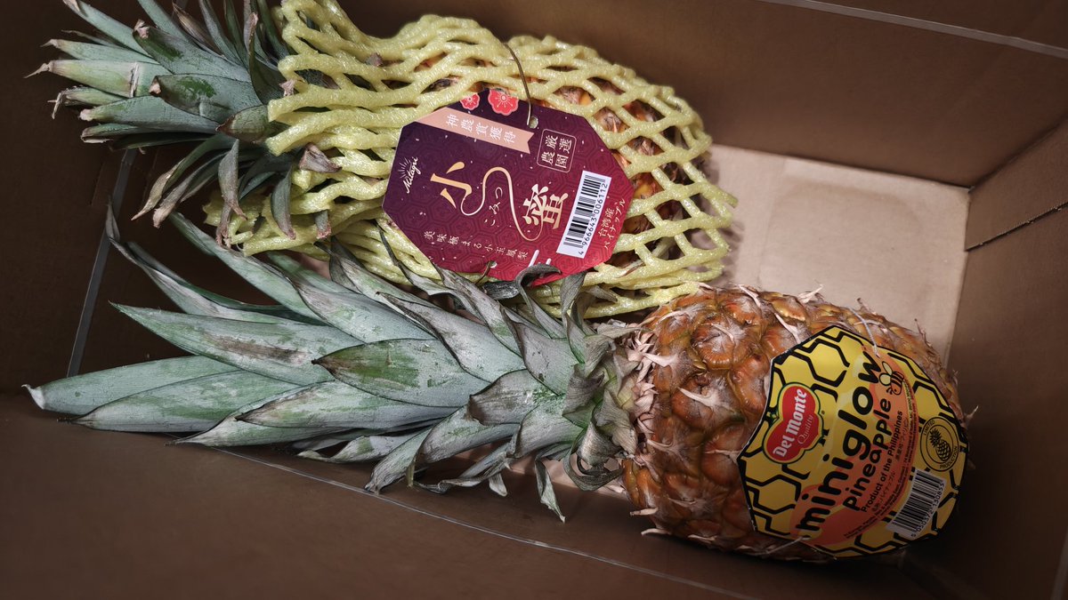 １０６。♪♯🐒(๑•́ ₃ •̀๑) tweet media