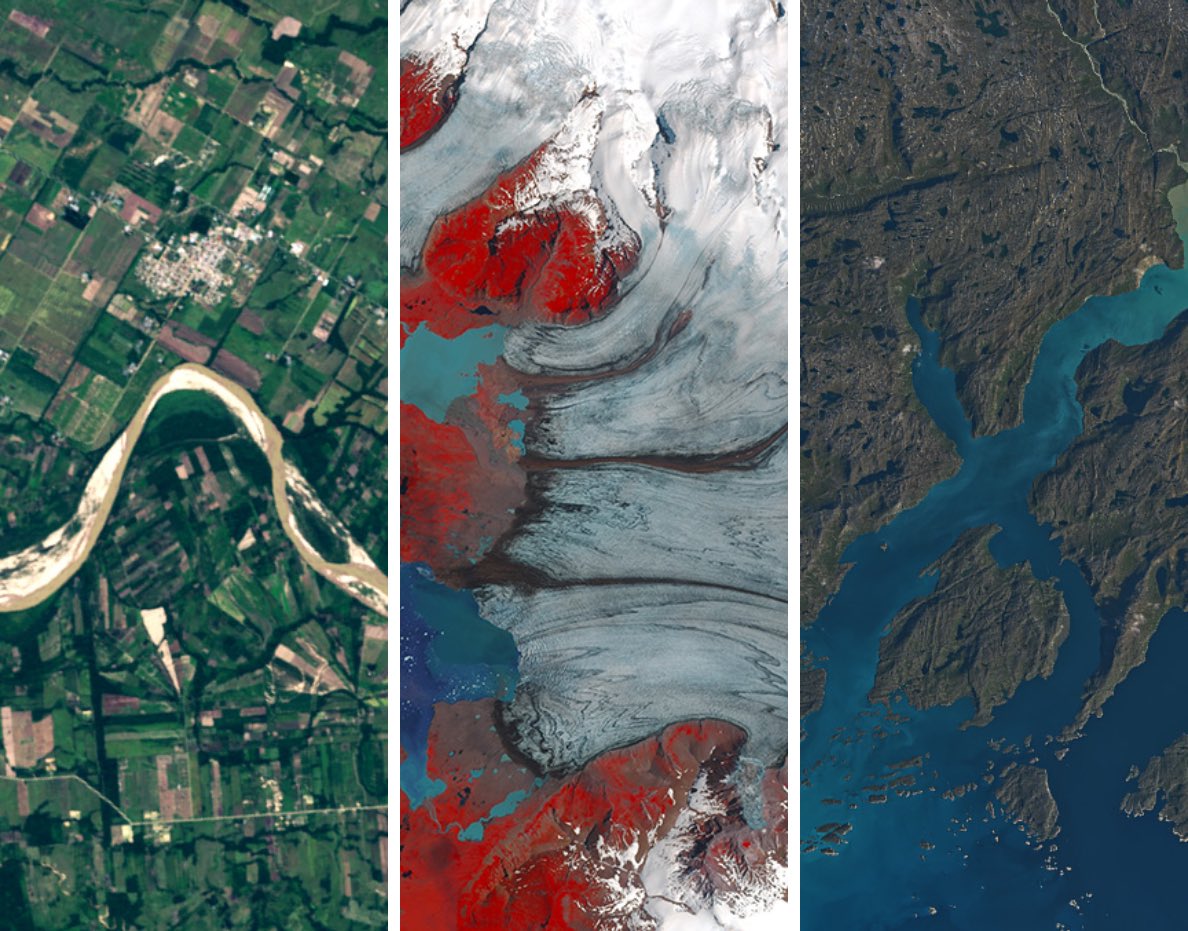 ネックス tweet media