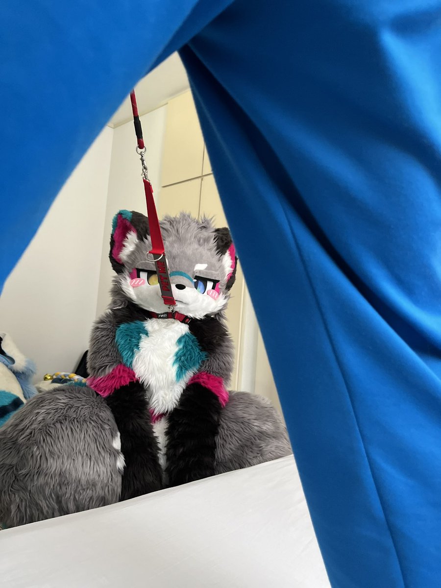 むこもな🔰 tweet media