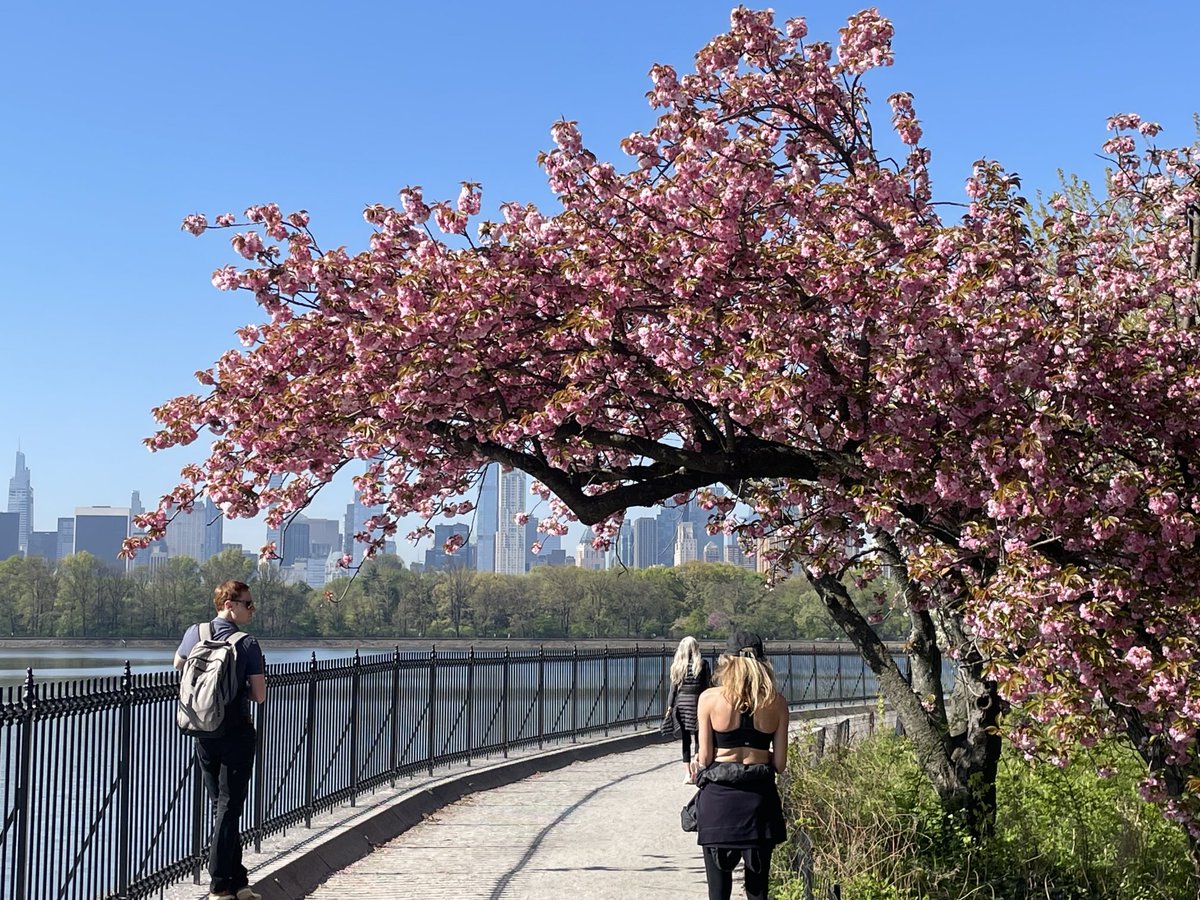 Damon DiMarco tweet media