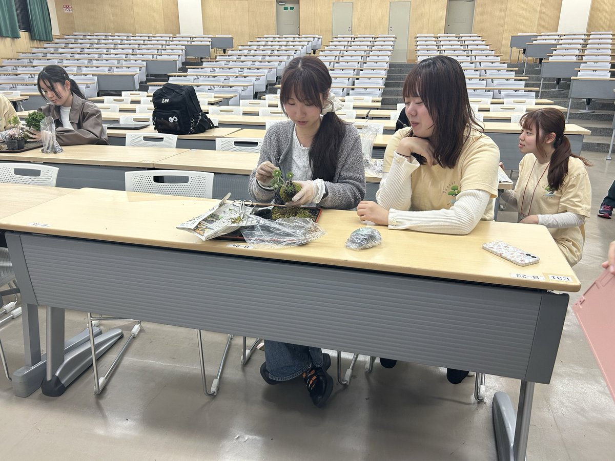 bonsaigirlsp's tweet photo. こんばんは☾⋆.·
今日は香川大学で新入生に向けて苔玉ワークショップを実施しました！どの樹種にするかたくさん悩んでいたようです👀楽しんで頂けて嬉しかったです！
 #香川大学  #苔玉  #盆栽  #BGP https://t.co/wV69tV5bHt