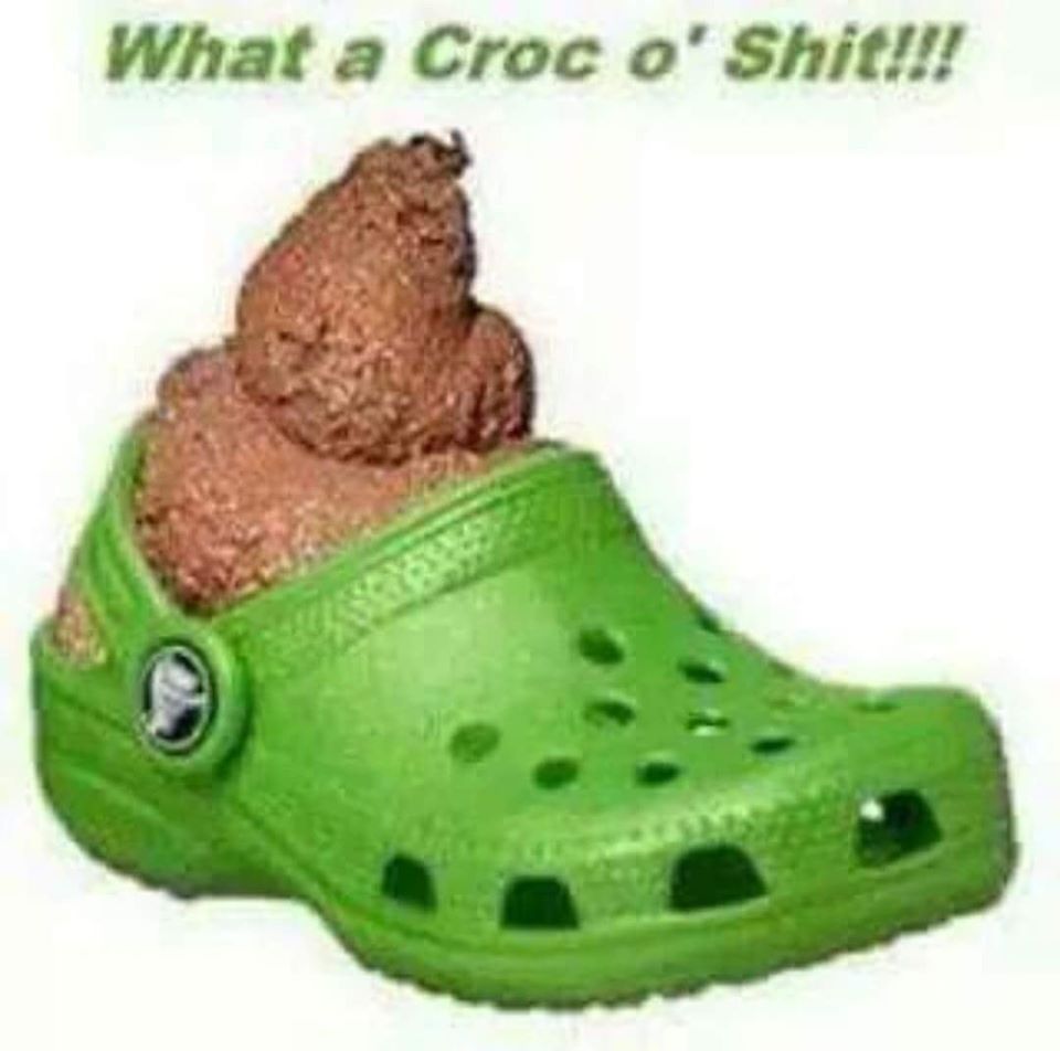 🇦🇺 Bushy 🇦🇺 tweet media