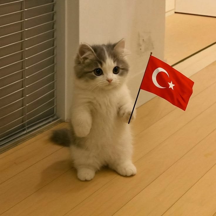 Cheetalix tweet media