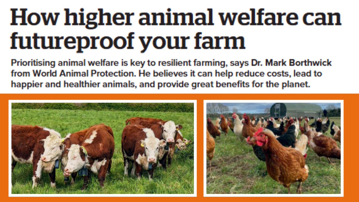 World Animal Protection UK tweet media