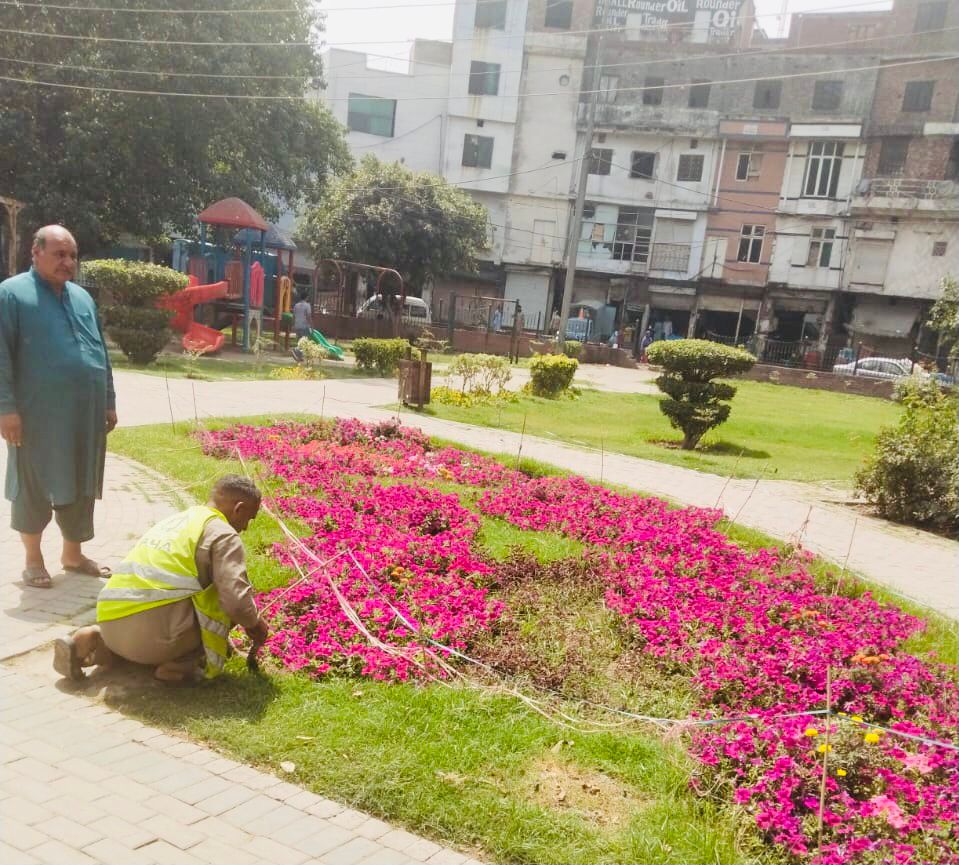 PhaLhr's tweet image. وزیر اعلی پنجاب محترمہ مریم نواز شریف صاحبہ کے گرین پنجاب ویژن کے تحت  پی ایچ اے لاہور کے ملازمین شہر میں شاہراہوں ، گرین بیلٹ اور پارکوں میں ہارٹی کلچر کا 
کام کررہے ہیں ۔

#lahore #green #horticulture #lahori