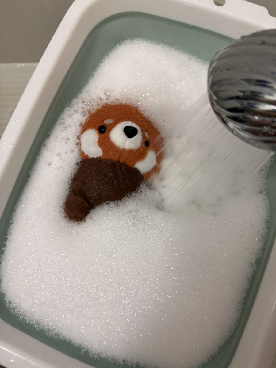 ミミオ村 tweet media