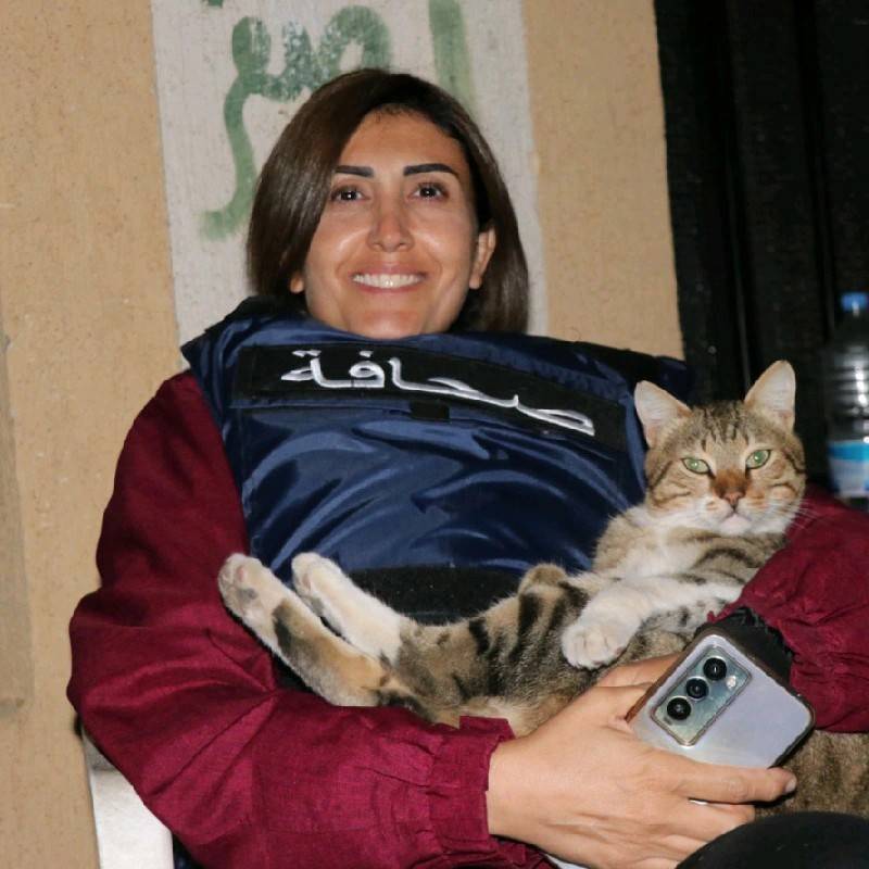 Danilo Della Valle tweet media