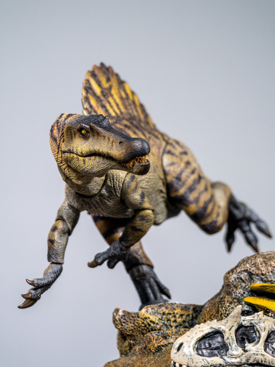 Kowkistoys's tweet image. Nanmu studio Supplanter
Purchase link：kowkistoy.com
A limited restock is coming soon. Click the ‘Notify Me’ button via the link to get notified right away once it’s back in stock.

#kowkistoy #nanmustudio #dinosaur #actionfigure