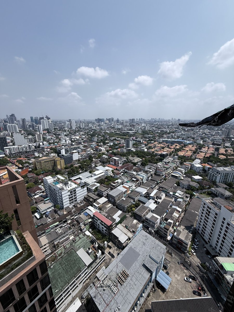 mootun_54 tweet media