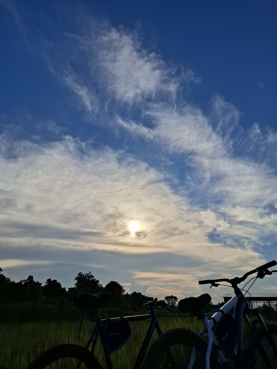 miloww #janjingjing's tweet media