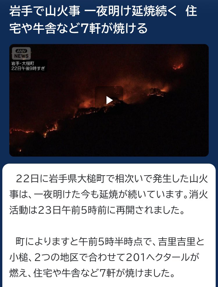 わっしょい魔リちゃん🇹🇭 tweet media