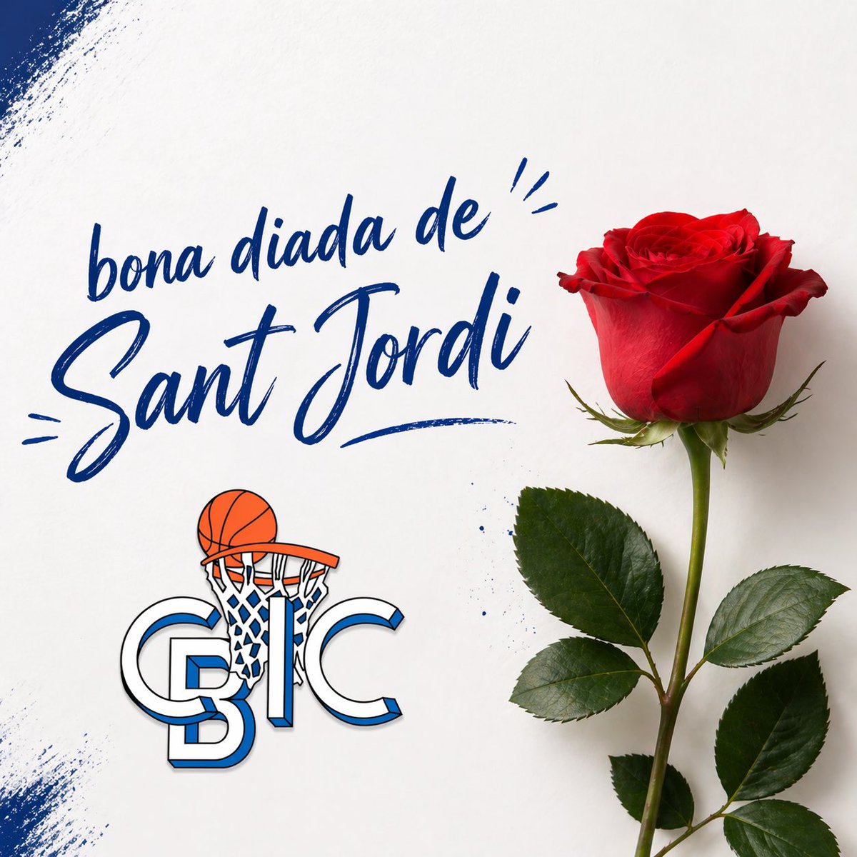 Bona diada de Sant Jordi!🌹🐉

#CBCIC #FamíliaCBCIC #BàsquetCatalà #somciquers #bluedevil