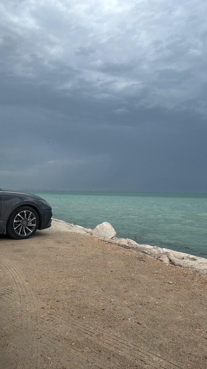 🐈‍⬛ tweet media