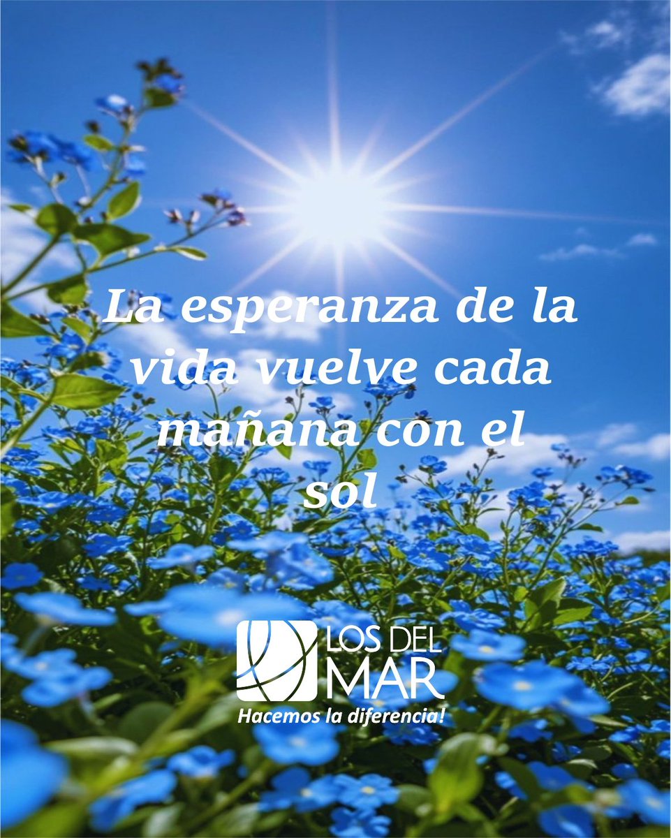 losdelmar's tweet image. El sol de la mañana se interpreta como energía, bendiciones y una invitación a empezar de nuevo con alegría. #Animo #Reflexión #Optimismo