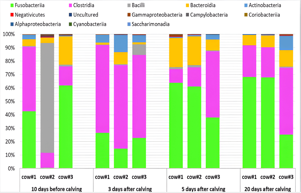 Elite_IMR's tweet photo. Are we missing a key factor in how uterine #microbiome shifts shape postpartum health in dairy cows?
👉Explore: https://t.co/jMRB30gQbu
This study tracks dynamic changes in endometrial microbiota and metabolic pathways during the transition period.
#Metagenomics #DairyScience https://t.co/2bEKhyAcw7