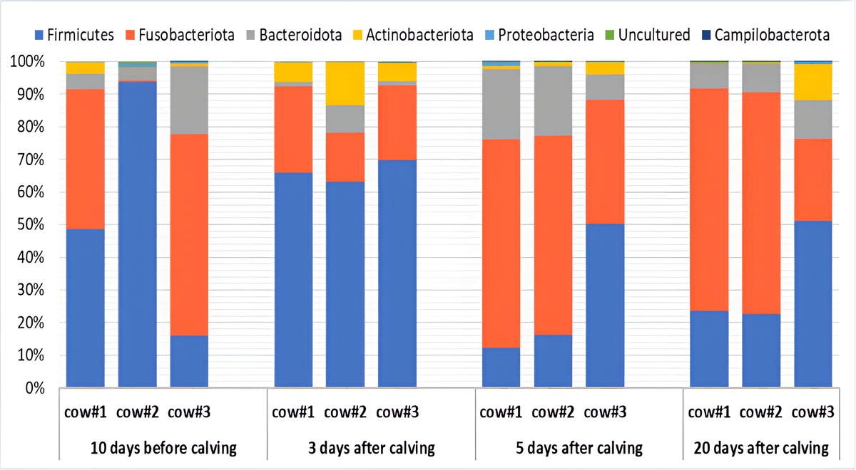 Elite_IMR's tweet photo. Are we missing a key factor in how uterine #microbiome shifts shape postpartum health in dairy cows?
👉Explore: https://t.co/jMRB30gQbu
This study tracks dynamic changes in endometrial microbiota and metabolic pathways during the transition period.
#Metagenomics #DairyScience https://t.co/2bEKhyAcw7
