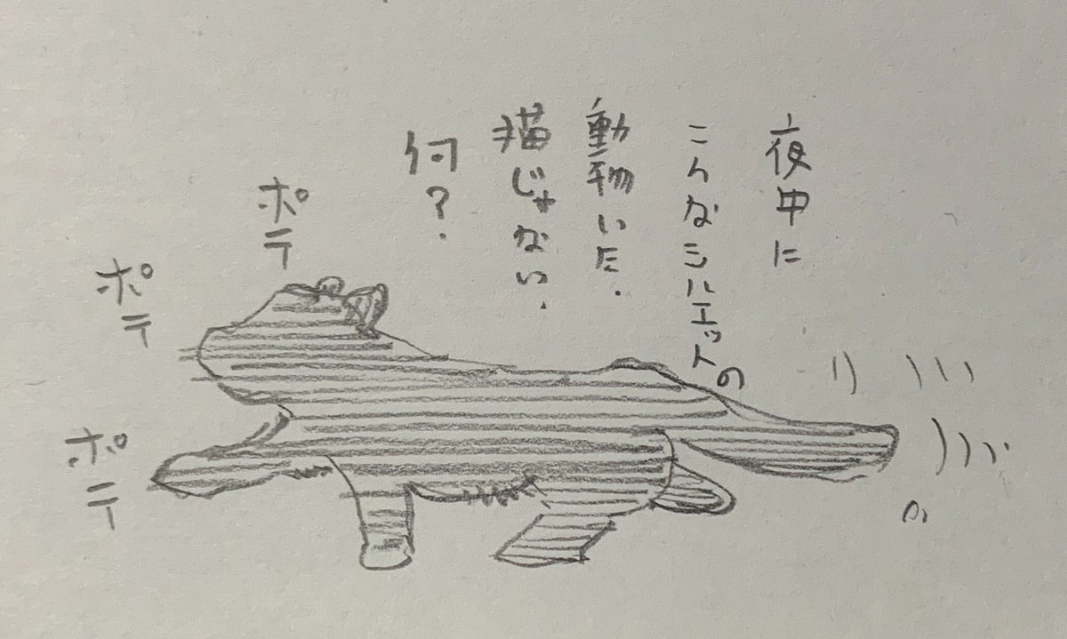 昨日見たこれ、何? 